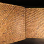 1862 – Johnson’s New Family Atlas | Enormous Hand-Colored Maps | World Maps