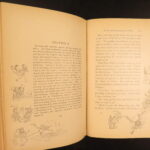 1894 – Tragedy of Pudd’nhead Wilson – Mark Twain | First Edition First Printing