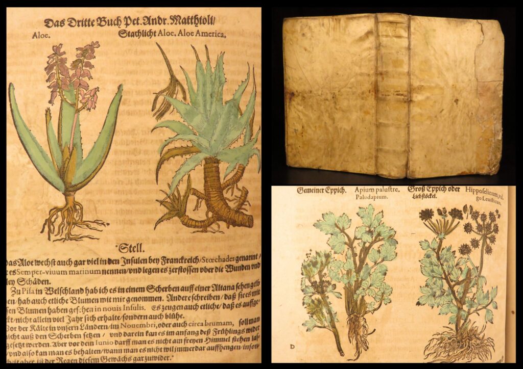 1626 – kreuterbuch – mattioli | famous herbal with hand-colored botany woodcuts | pietro mattioli was an important 16<sup>th</sup>-century tuscan physician whose medical and botanical treatises were reliable and accurate for centuries after first published. Perhaps his most famous treatise, ‘<em>kreutterbuch</em>,’ is one of the most important illustrated herbal and horticultural books to ever be published. According to ‘heirs of hippocrates,’ “in this commentary on dioscorides, mattioli prepared what many authorities now regard as <strong><u>the encyclopedia of renaissance pharmacology</u></strong>. He studied hundreds of plants, examined and described them fully, added many new species, and provided excellent illustrations which were far superior to those of any previous work in the field. ” (hoh 141) &nbsp; this 1626 german edition is one of the most desirable 17<sup>th</sup>-century editions of mattioli, based exactly on the 1586 edition. This printing is known for its lavish illustrations – <strong><u>views of hundreds of animals, plants, and distillation methods – hand-colored</u></strong>!