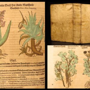 1626 – Kreuterbuch – Mattioli | Famous Herbal with Hand-colored Botany Woodcuts