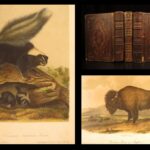1854 – The Quadrupeds of North America – Audubon | 155 Color Plates of Animals