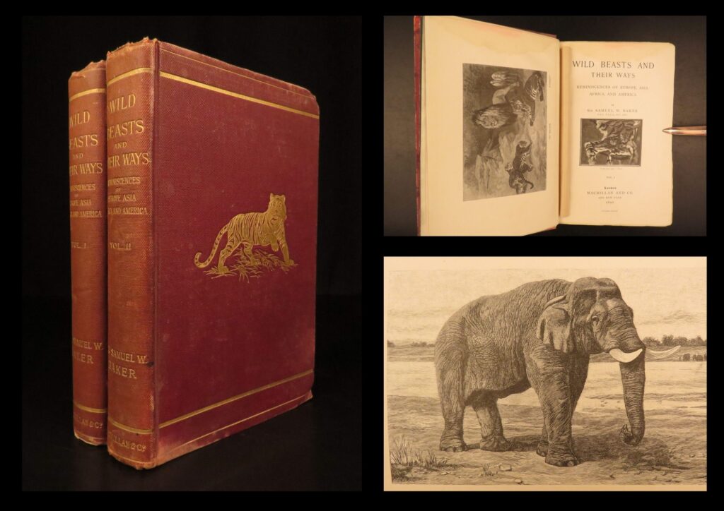 1890 – wild beasts | african animals – illustrated lions, tigers, rhinos, giraffes | this 1890 first edition of samuel white baker’s two-volume account of big game hunting across europe, asia, africa, and america, is illustrated with 28 full-page engravings.