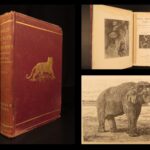 1890 – Wild Beasts | African Animals – Illustrated Lions, Tigers, Rhinos, Giraffes