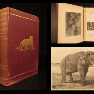 1890 – Wild Beasts | African Animals – Illustrated Lions, Tigers, Rhinos, Giraffes