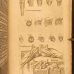 1553 Thomas Geminus – Anatomy of Andreas Vesalius Humani Corporis – First ed