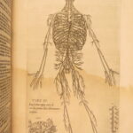 1553 Thomas Geminus – Anatomy of Andreas Vesalius Humani Corporis – First ed