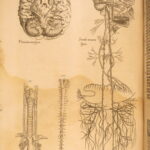1553 Thomas Geminus – Anatomy of Andreas Vesalius Humani Corporis – First ed