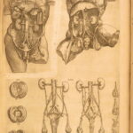 1553 Thomas Geminus – Anatomy of Andreas Vesalius Humani Corporis – First ed