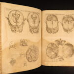 1553 Thomas Geminus – Anatomy of Andreas Vesalius Humani Corporis – First ed