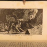 1894 – The Jungle Book – Rudyard Kipling, 1894 | First American Printing