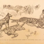 1894 – The Jungle Book – Rudyard Kipling, 1894 | First American Printing