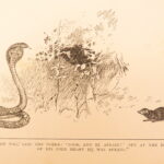 1894 – The Jungle Book – Rudyard Kipling, 1894 | First American Printing