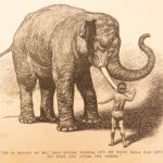 1894 – The Jungle Book – Rudyard Kipling, 1894 | First American Printing