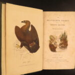 1834 – Feather Tribes – Robert Mudie | First Edition of British Birds, Color Illustrated