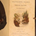 1834 – Feather Tribes – Robert Mudie | First Edition of British Birds, Color Illustrated
