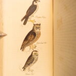 1834 – Feather Tribes – Robert Mudie | First Edition of British Birds, Color Illustrated
