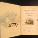 1834 – Feather Tribes – Robert Mudie | First Edition of British Birds, Color Illustrated
