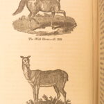 1849 – Life & Travels in California & Oregon | Gold Rush, American Exploration