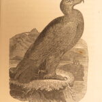 1849 – Life & Travels in California & Oregon | Gold Rush, American Exploration