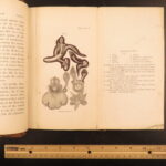 1862 – Fertilisation of Orchids – Charles Darwin | First Edition – Evolution Science