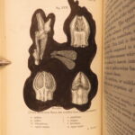 1862 – Fertilisation of Orchids – Charles Darwin | First Edition – Evolution Science