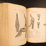 1862 – Fertilisation of Orchids – Charles Darwin | First Edition – Evolution Science