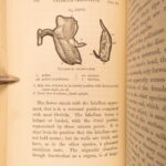 1862 – Fertilisation of Orchids – Charles Darwin | First Edition – Evolution Science