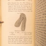 1862 – Fertilisation of Orchids – Charles Darwin | First Edition – Evolution Science