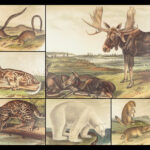 The Quadrupeds of North America – Audubon – 1849 | 155 Color Plates | First edition