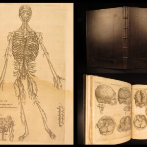 1553 Thomas Geminus – Anatomy of Andreas Vesalius Humani Corporis – First ed