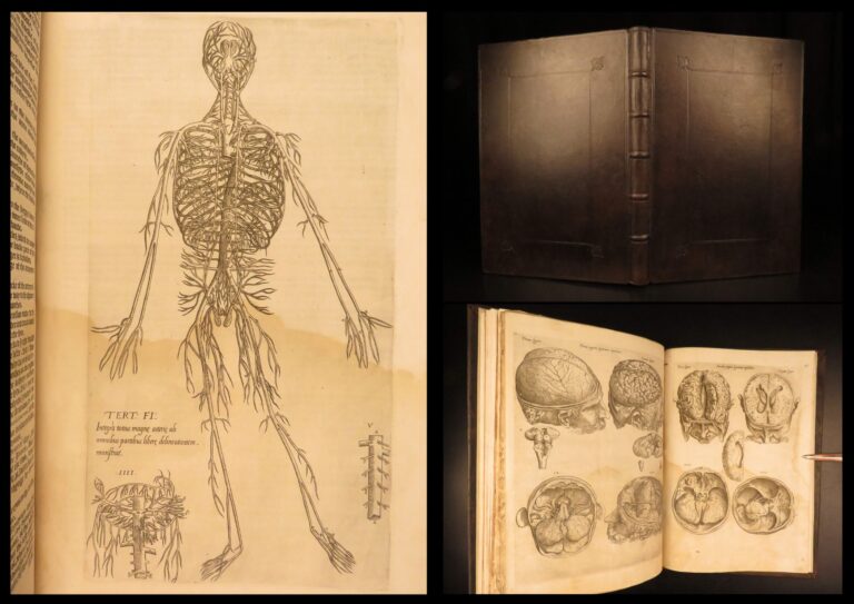 Image of 1553 Thomas Geminus – Anatomy of Andreas Vesalius Humani Corporis – First ed