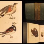 1834 – Feather Tribes – Robert Mudie | First Edition of British Birds, Color Illustrated