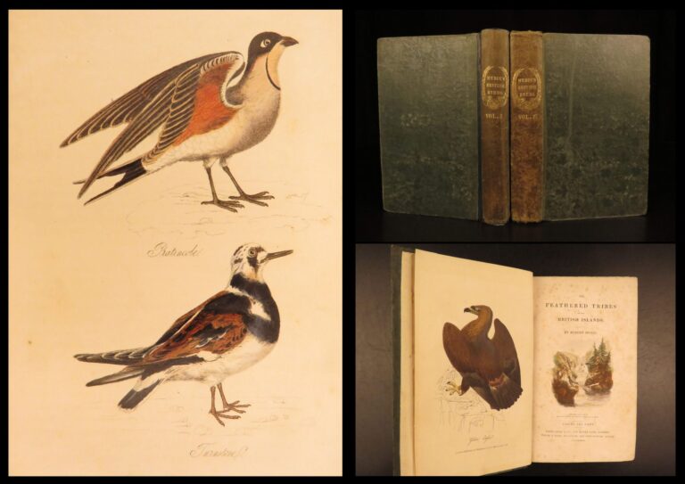 Image of 1834 – Feather Tribes – Robert Mudie | First Edition of British Birds, Color Illustrated