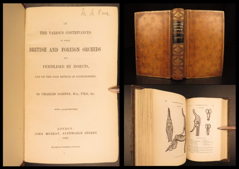 Image of 1862 – Fertilisation of Orchids – Charles Darwin | First Edition – Evolution Science