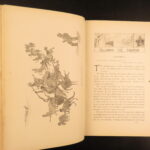 Following the Equator – Mark Twain – 1897 | First Edition, Illustrated with 193 Images