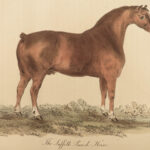 1805 1ed Agriculture FARMING Illustrated Husbandry Cows Cattle Sheep Horses 2v