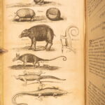1666 – History of Caribbean Islands – Rochefort | Famous First English Edition