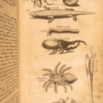 1666 – History of Caribbean Islands – Rochefort | Famous First English Edition