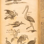 1666 – History of Caribbean Islands – Rochefort | Famous First English Edition