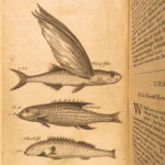 1666 – History of Caribbean Islands – Rochefort | Famous First English Edition