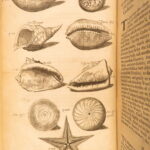 1666 – History of Caribbean Islands – Rochefort | Famous First English Edition