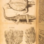 1666 – History of Caribbean Islands – Rochefort | Famous First English Edition