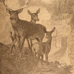 1886 – Hunting Trips of a Ranchman – Theodore Roosevelt | First Edition