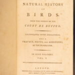 1793 – Natural History of Birds – Buffon | English Edition – Illustrated Ornithology