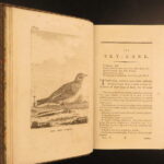 1793 – Natural History of Birds – Buffon | English Edition – Illustrated Ornithology
