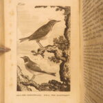 1793 – Natural History of Birds – Buffon | English Edition – Illustrated Ornithology