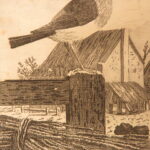 1793 – Natural History of Birds – Buffon | English Edition – Illustrated Ornithology
