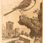 1793 – Natural History of Birds – Buffon | English Edition – Illustrated Ornithology
