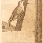 1793 – Natural History of Birds – Buffon | English Edition – Illustrated Ornithology