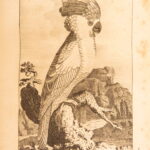 1793 – Natural History of Birds – Buffon | English Edition – Illustrated Ornithology